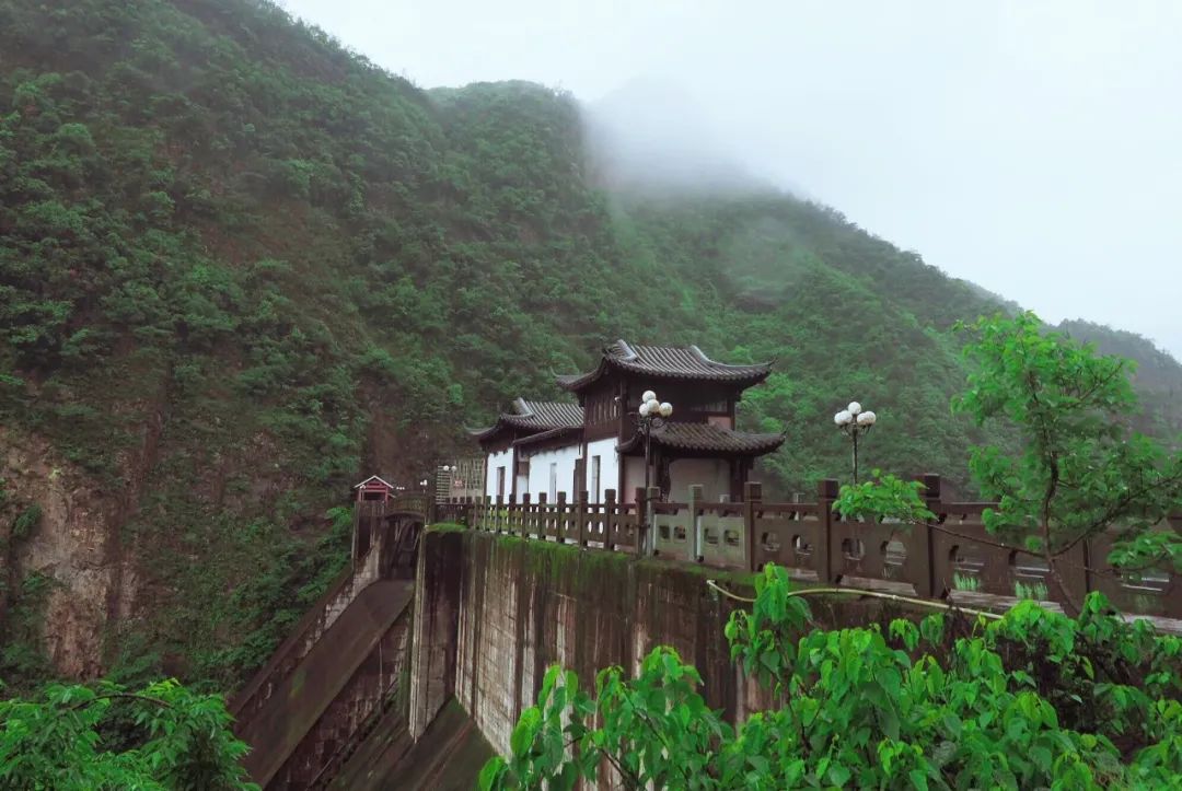 春雨的诗句有哪些古诗，关于春雨的古诗词句