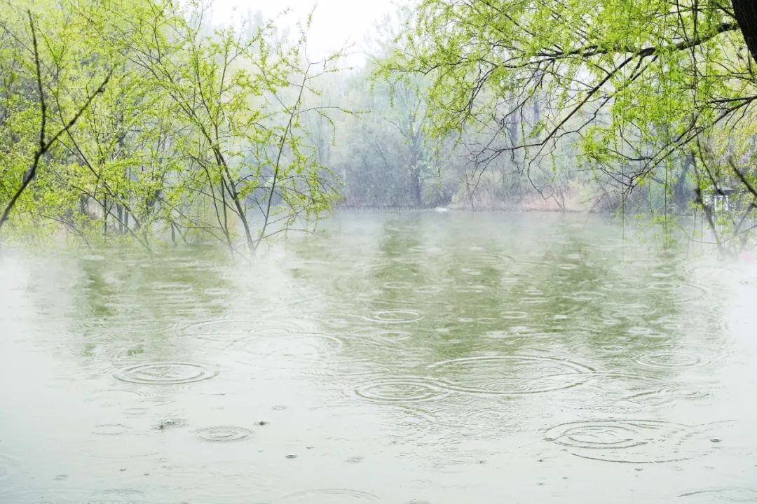 春雨的诗句有哪些古诗，关于春雨的古诗词句