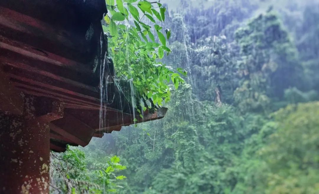 春雨的诗句有哪些古诗，关于春雨的古诗词句