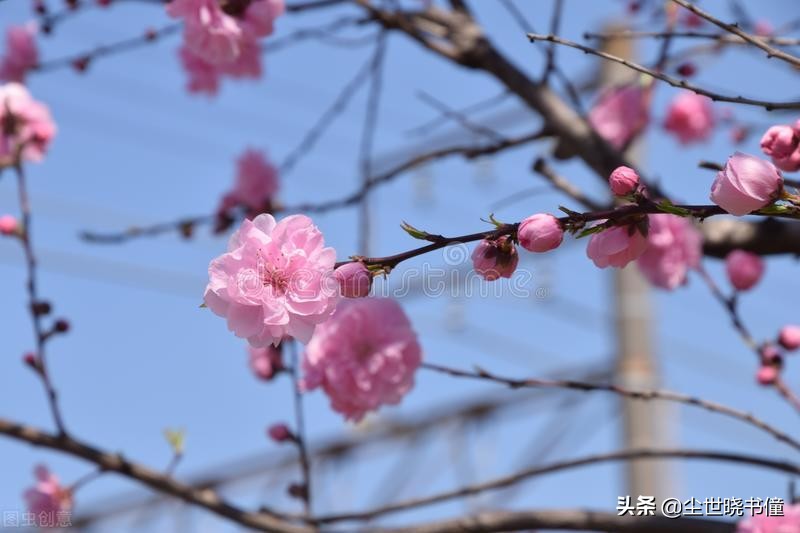 女子思念心上人的诗句，最能暖到男人心的情话