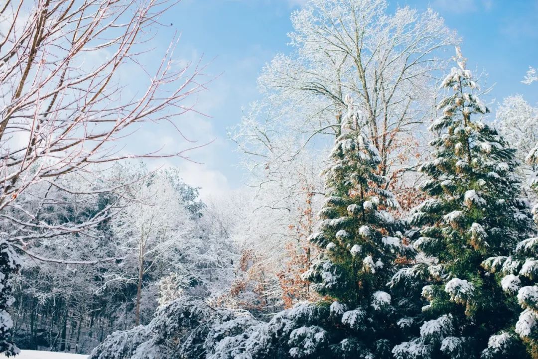 关于雪的诗句优美句子发朋友圈，唯美又浪漫的诗句