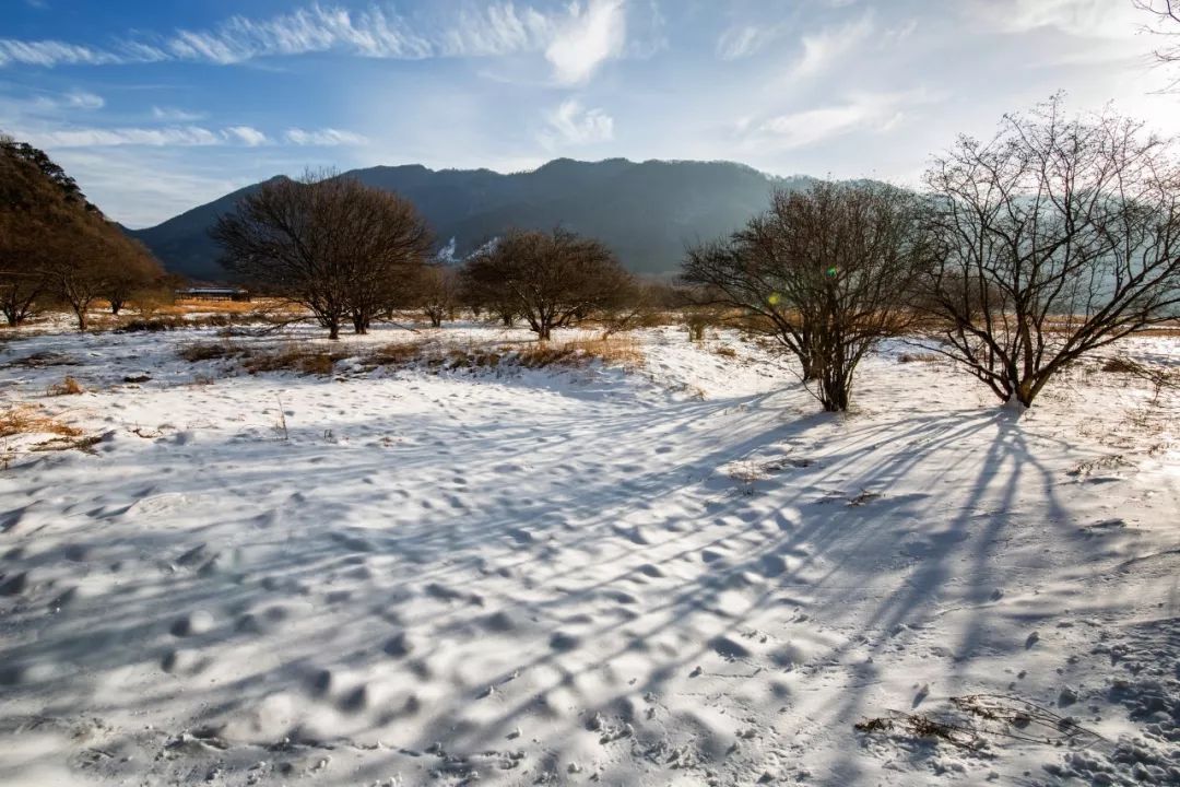 关于雪的诗句优美句子发朋友圈，唯美又浪漫的诗句