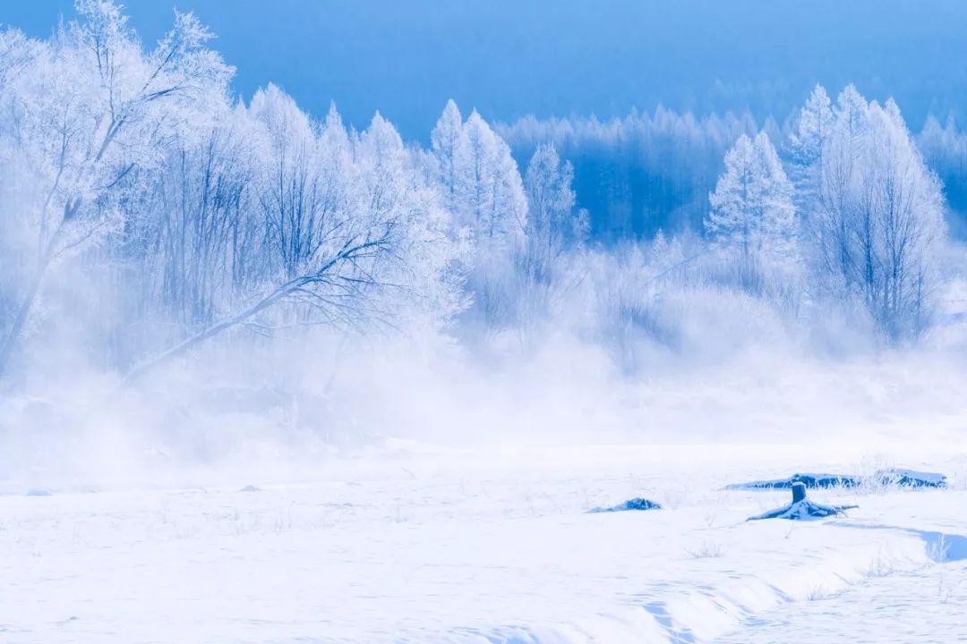 关于雪的诗句优美句子发朋友圈，唯美又浪漫的诗句