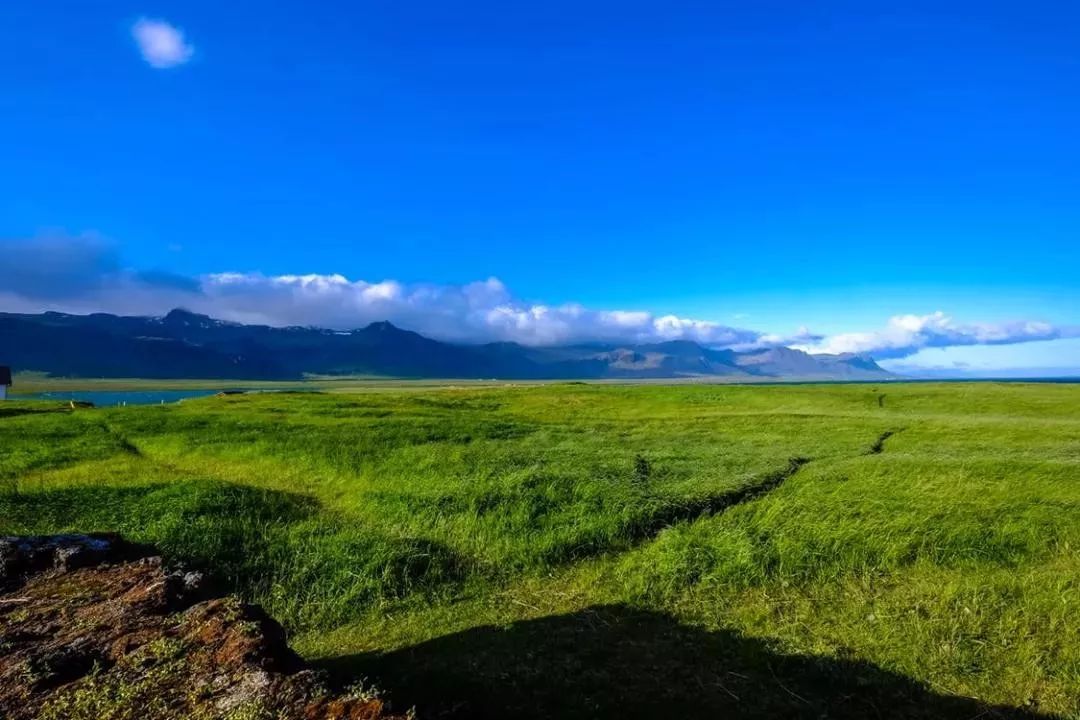 大草原的诗句有哪些，感受大草原的短句