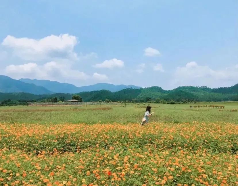 大草原的诗句有哪些，感受大草原的短句