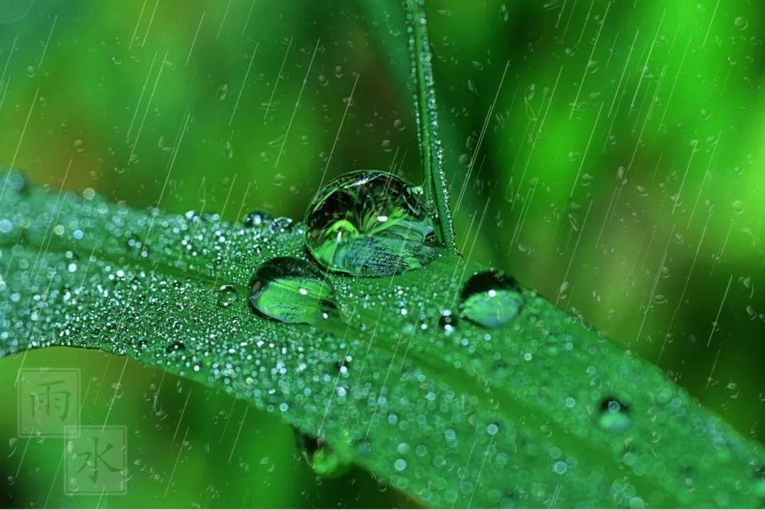 写雨的诗词名句有哪些，有关雨的诗句古诗大全