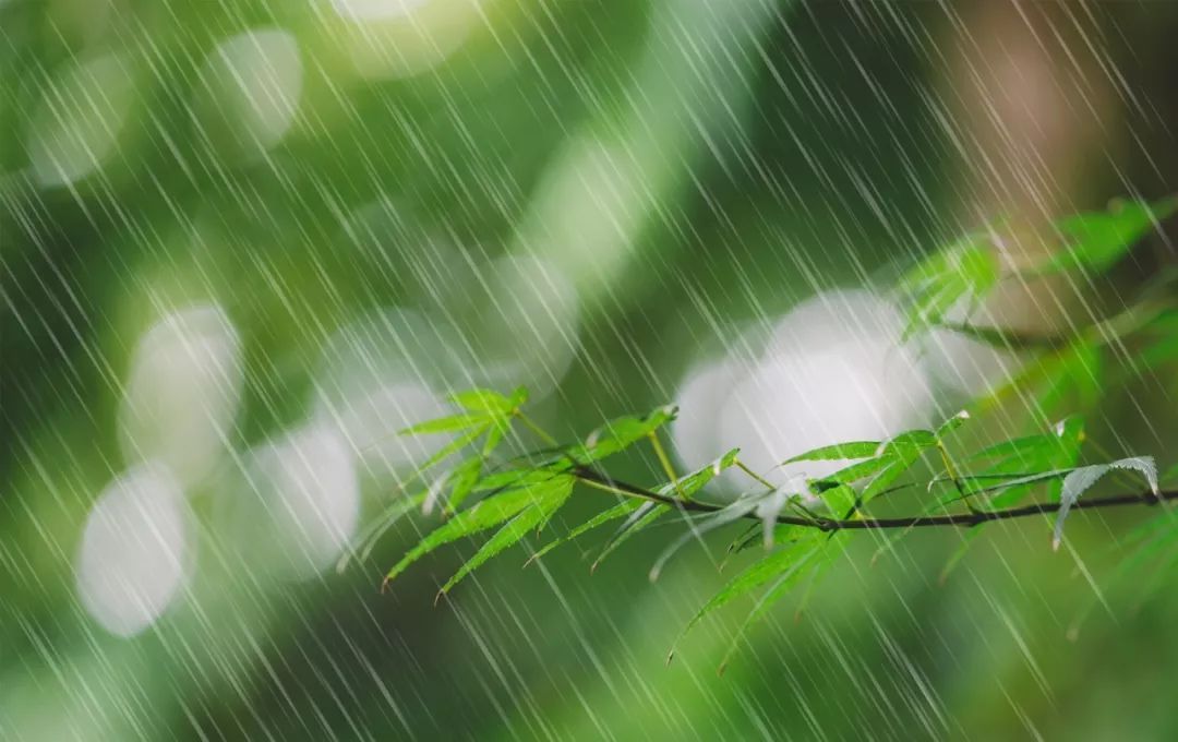 写雨的诗词名句有哪些，有关雨的诗句古诗大全