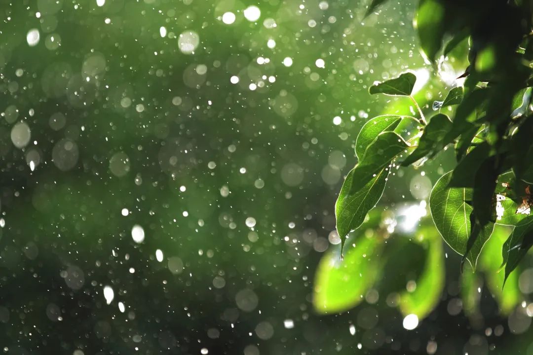 写雨的诗词名句有哪些，有关雨的诗句古诗大全