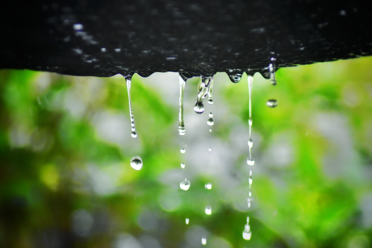 写雨的诗词名句有哪些，有关雨的诗句古诗大全