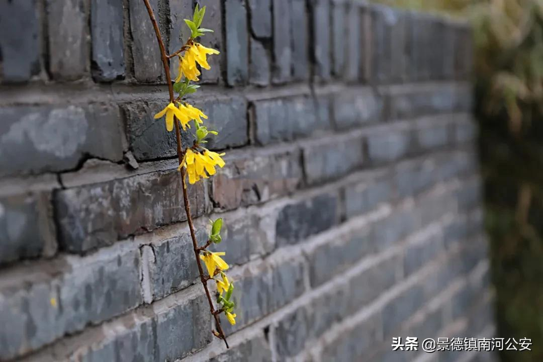 伤感古诗词优美的句子，伤感优美的句子精选