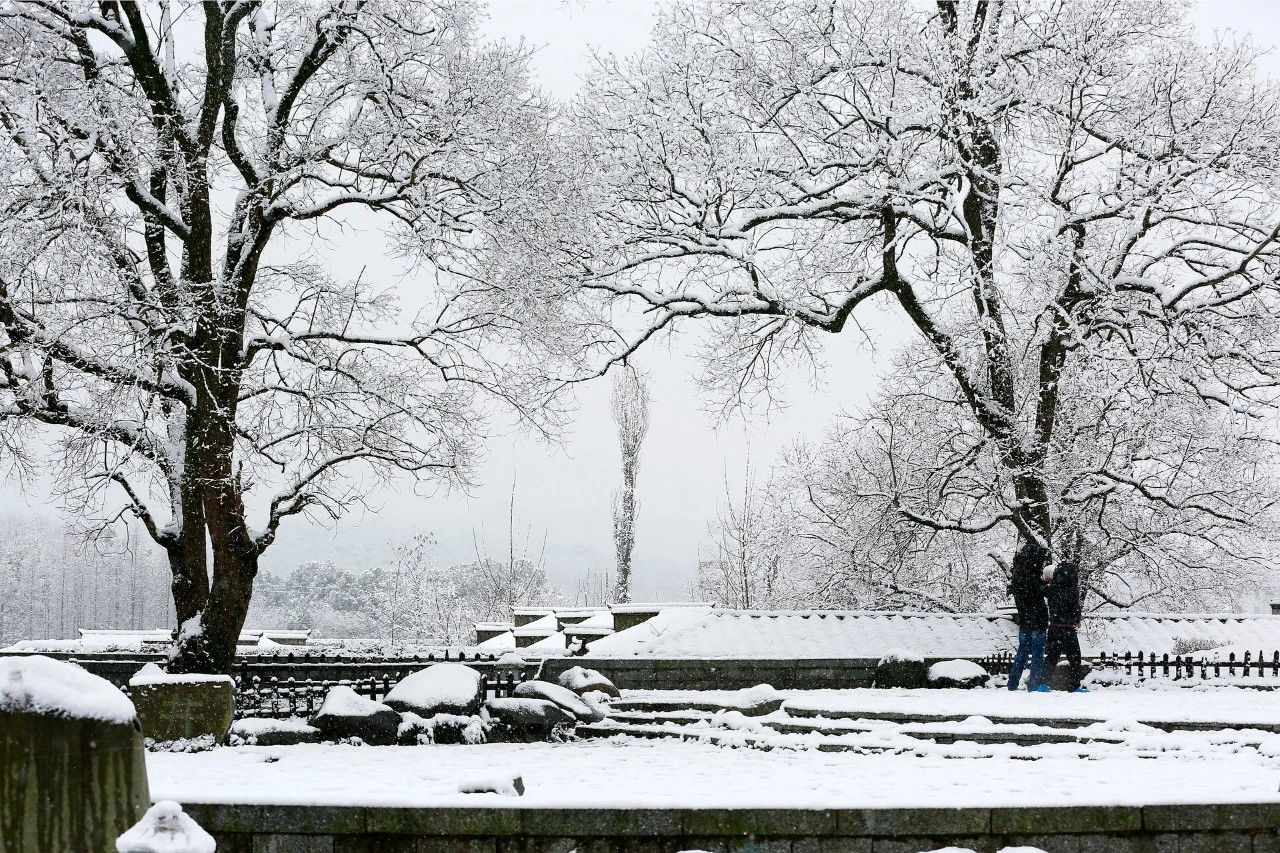 有雪的诗句有哪些，描写冬天雪景的古诗