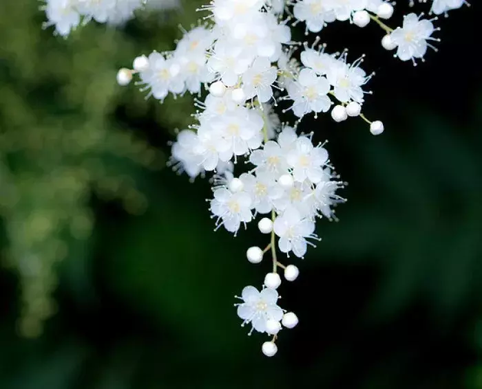 写谷雨节的古诗词，谷雨节气古诗大全