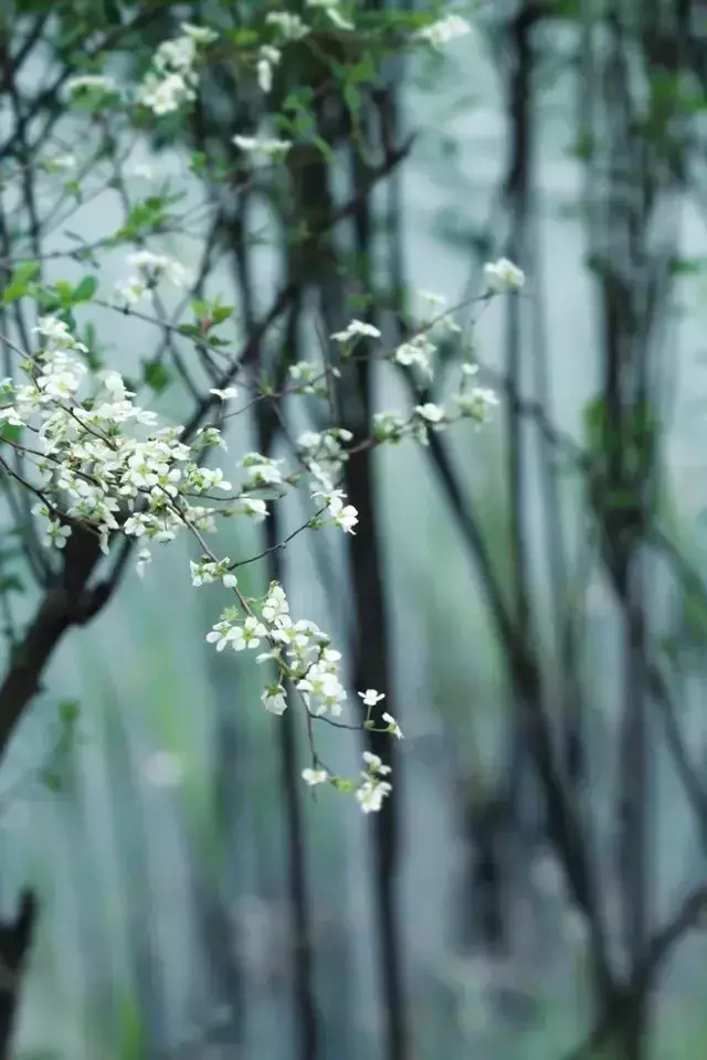 形容乡下的悠闲生活的句子，赞美田园乡村之景的10首古诗词