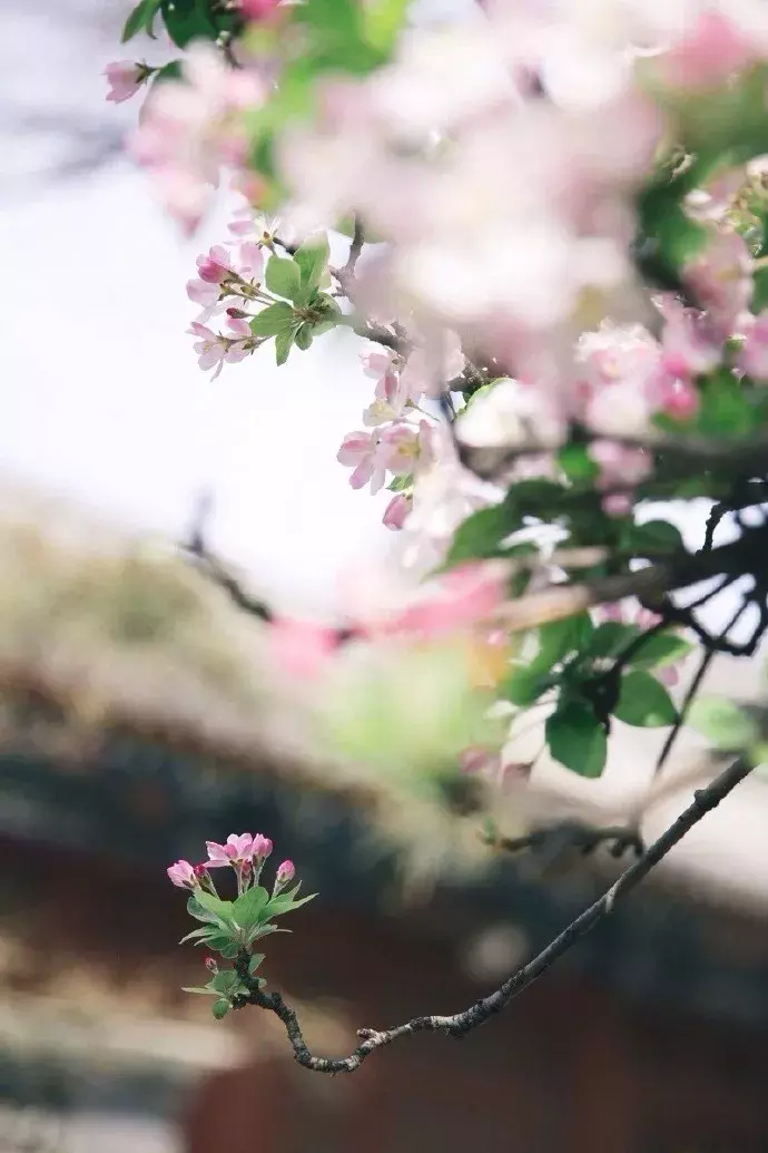 形容乡下的悠闲生活的句子，赞美田园乡村之景的10首古诗词