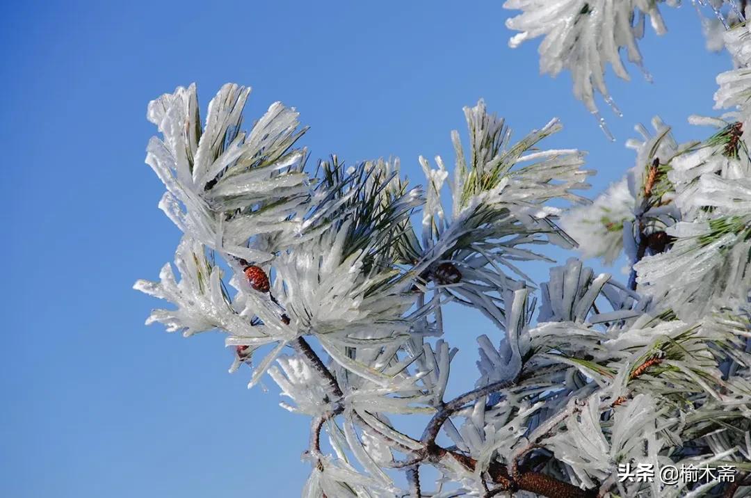 古诗雪罗隐的意思，古诗雪原文及解释