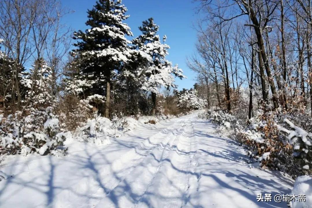 古诗雪罗隐的意思，古诗雪原文及解释