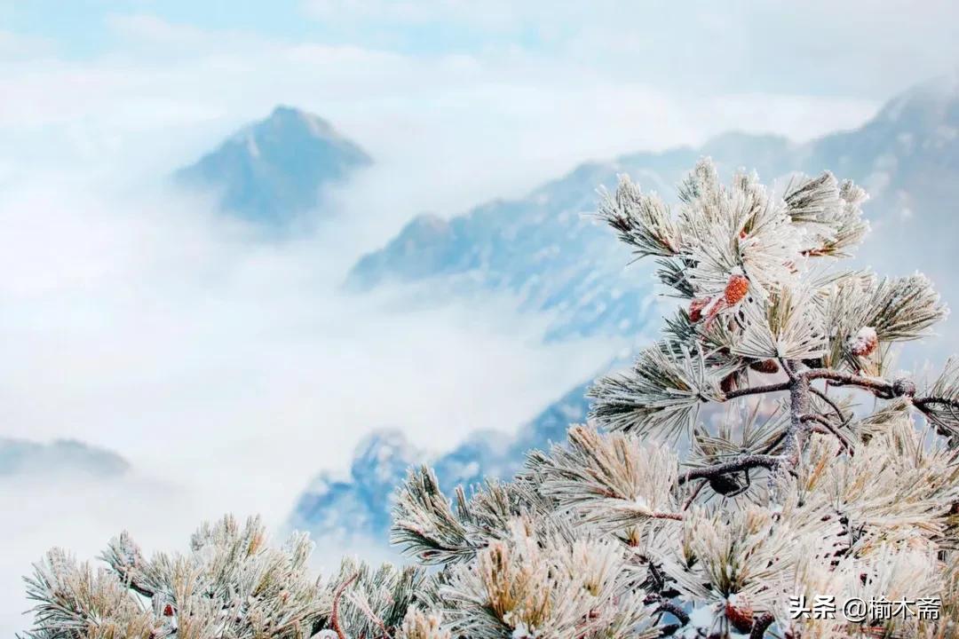 古诗雪罗隐的意思，古诗雪原文及解释