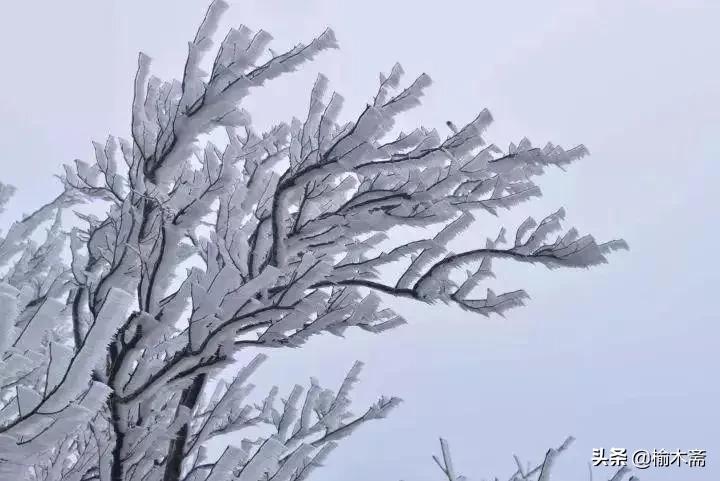 古诗雪罗隐的意思，古诗雪原文及解释