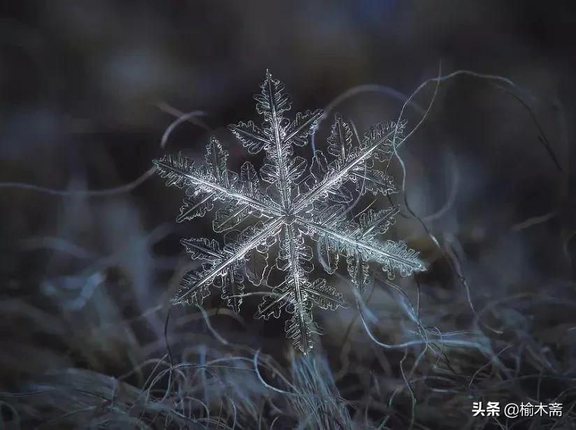 古诗雪罗隐的意思，古诗雪原文及解释