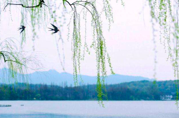 夸奖景美人更美的句子，夸人和景一样美的诗句