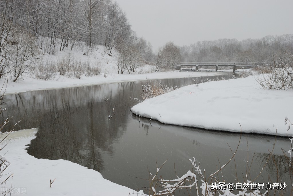 江雪古诗的意思及赏析，江雪全文解释及主旨