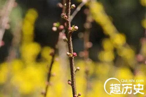 清明的所有古诗短句，清明节必读的十首经典诗词