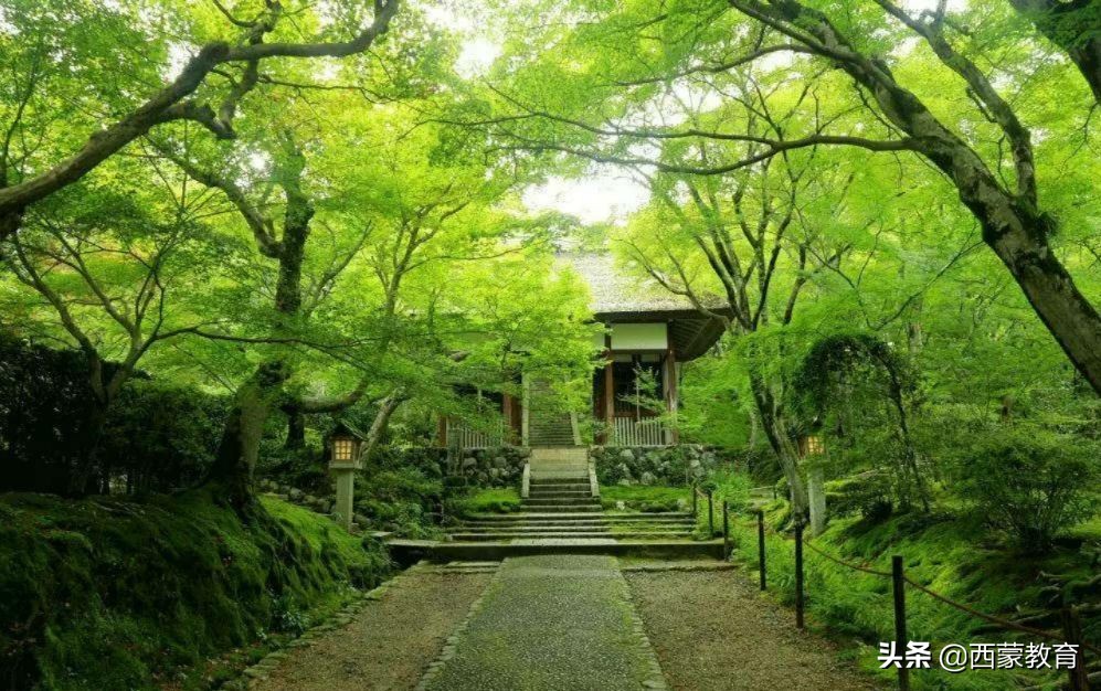 钟山即事古诗带翻译，宿钟山即事翻译