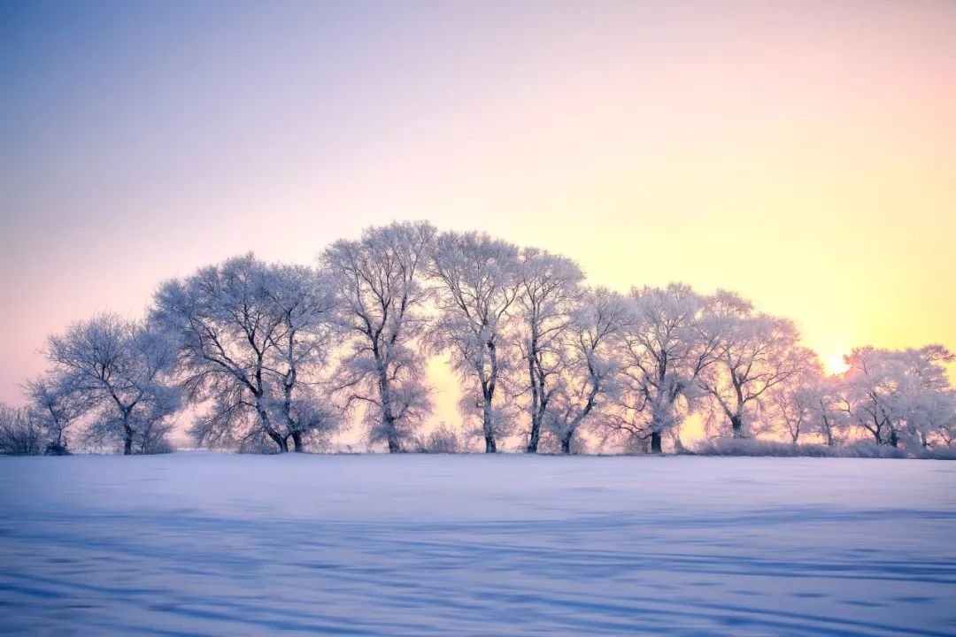 雪诗句有哪些，10首赞美雪景的唯美古诗词