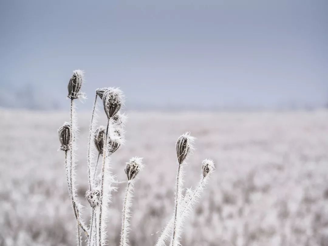 雪诗句有哪些，10首赞美雪景的唯美古诗词