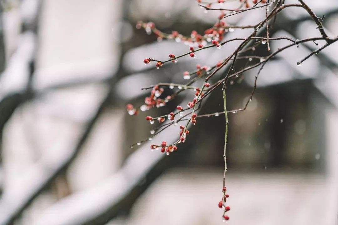 雪诗句有哪些，10首赞美雪景的唯美古诗词