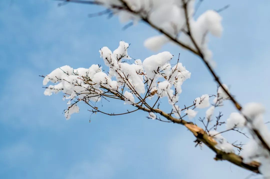 雪诗句有哪些，10首赞美雪景的唯美古诗词