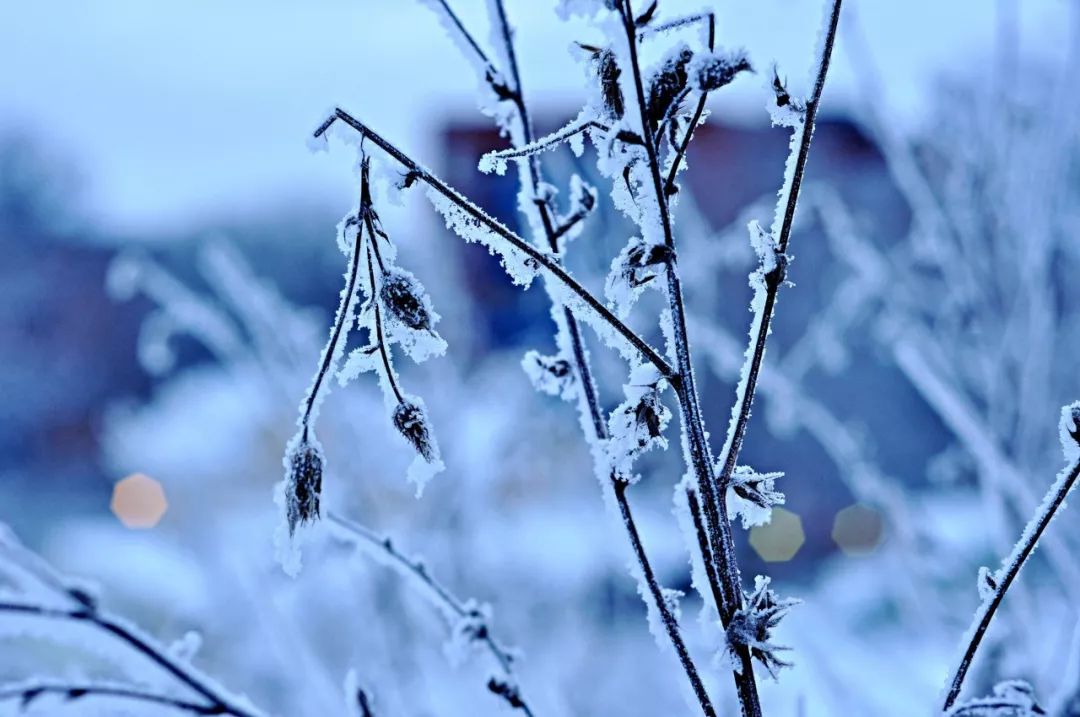 雪诗句有哪些，10首赞美雪景的唯美古诗词