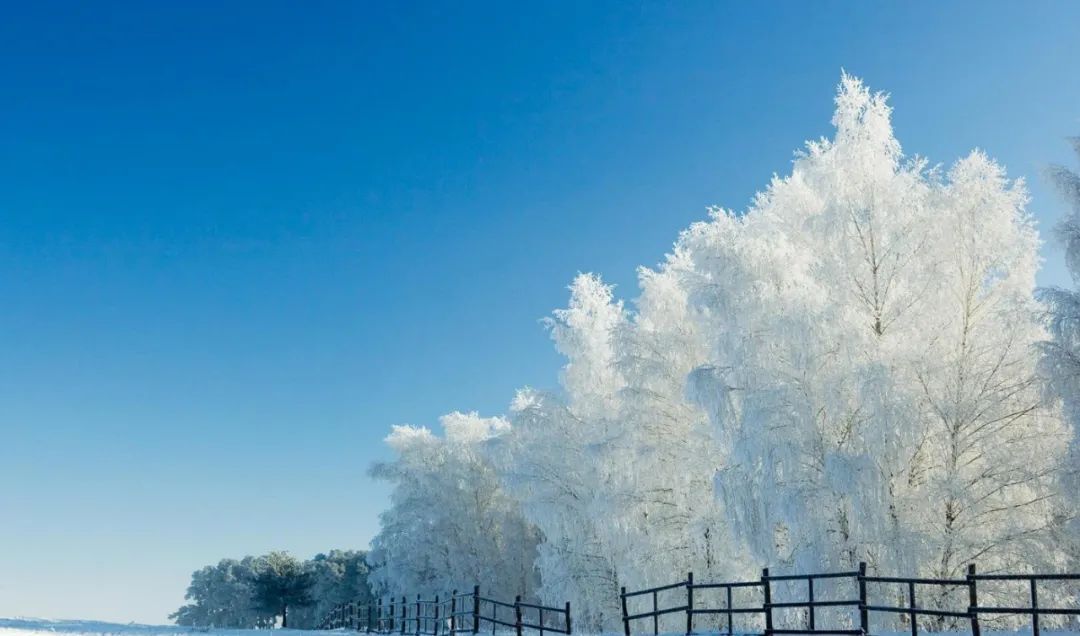 描写雪的诗句有哪些，赞美自然之景雪的10首著名古诗