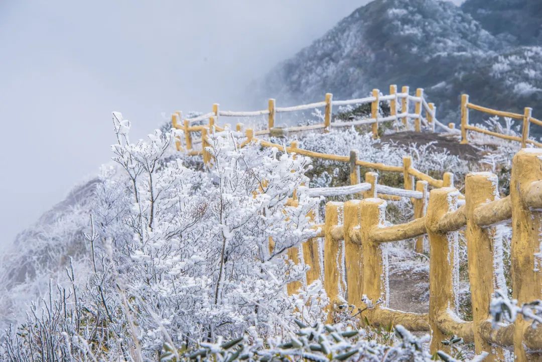 描写雪的诗句有哪些，赞美自然之景雪的10首著名古诗