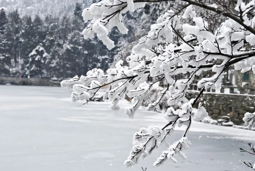 描写雪的诗句有哪些，赞美自然之景雪的10首著名古诗