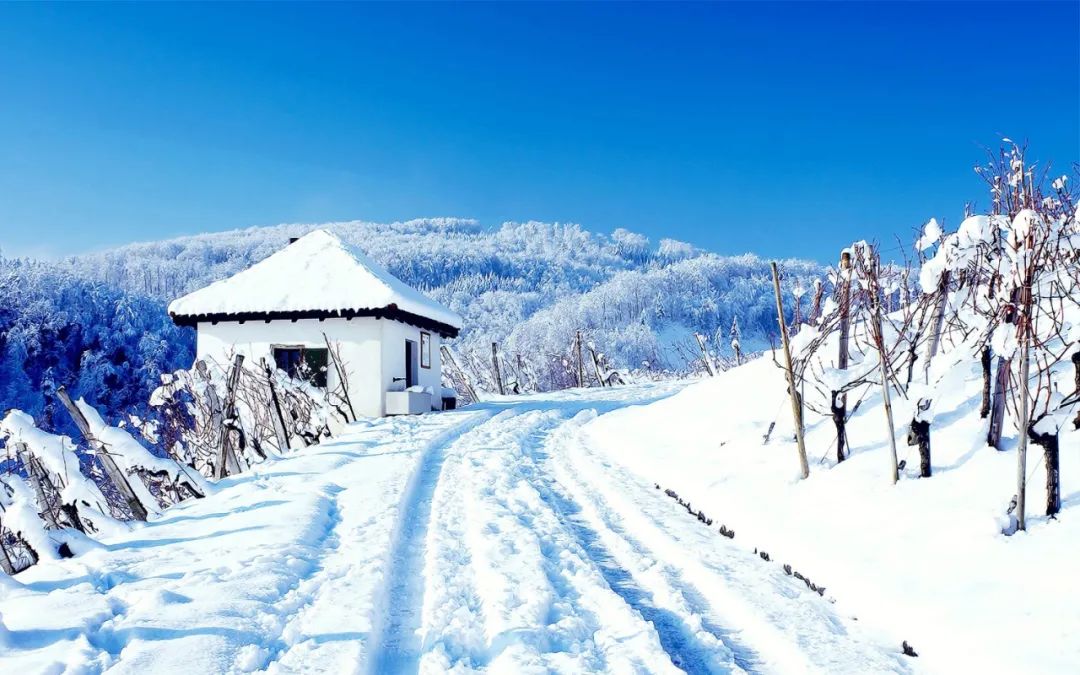 描写雪的诗句有哪些，赞美自然之景雪的10首著名古诗