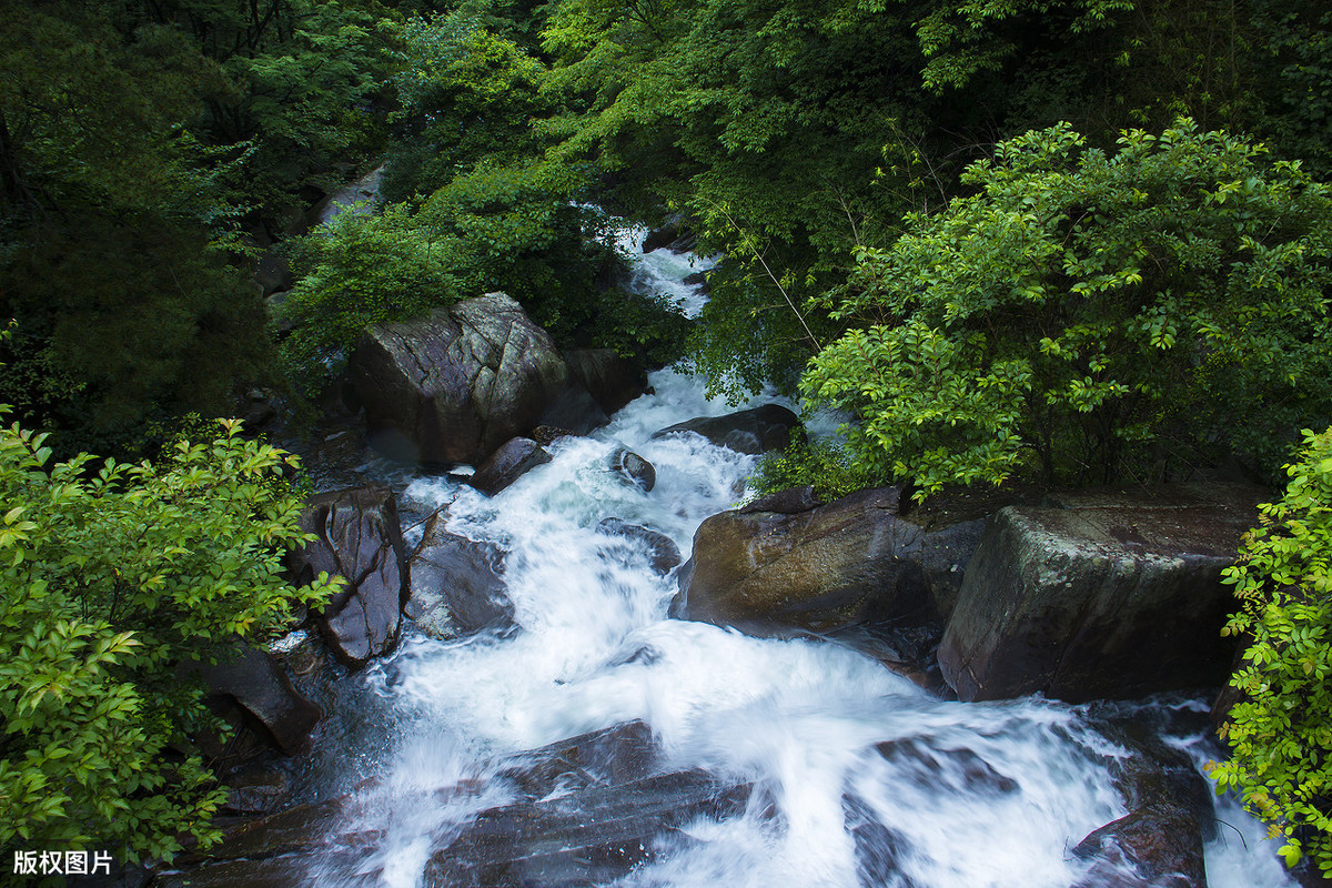 雨过山村翻译及赏析，雨过山村古诗赏析题