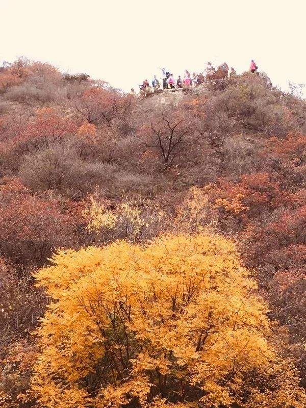 关于登山古诗词名句，最出名的6首登山古诗词