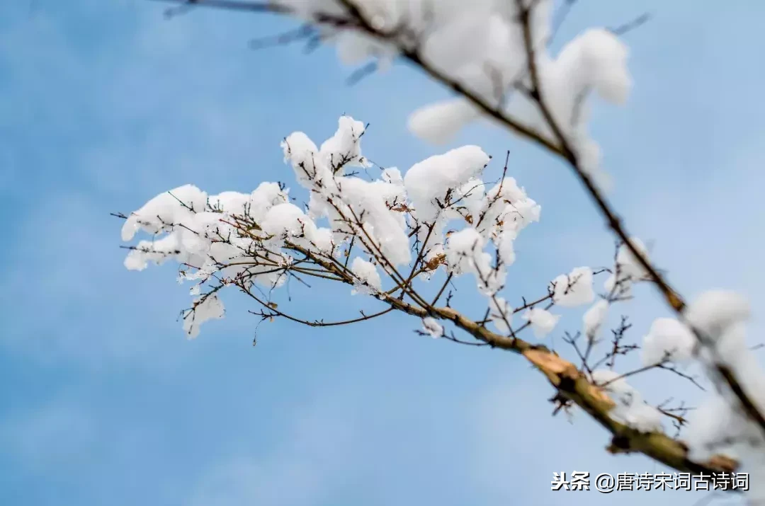 关于冬至的诗句有哪些，描写冬至节的10首诗句