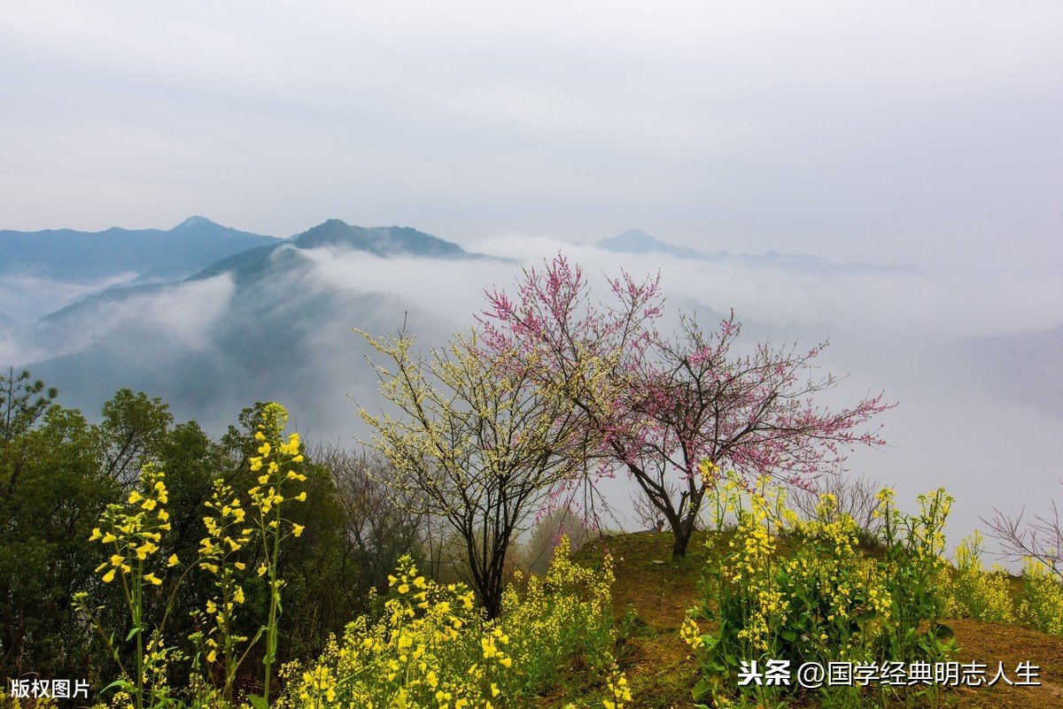 山水的诗句有哪些，描写山水的优美诗句