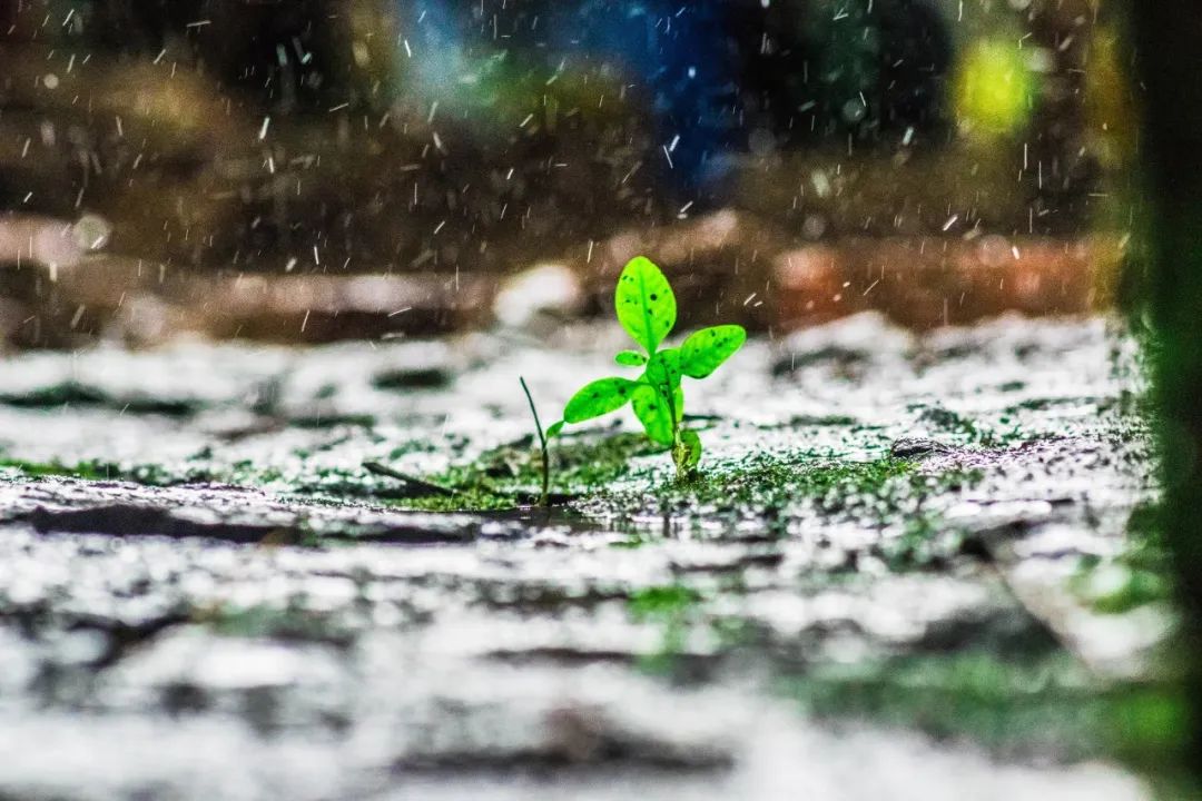 关于雨的古诗有哪些，20首描写雨景的唯美古诗