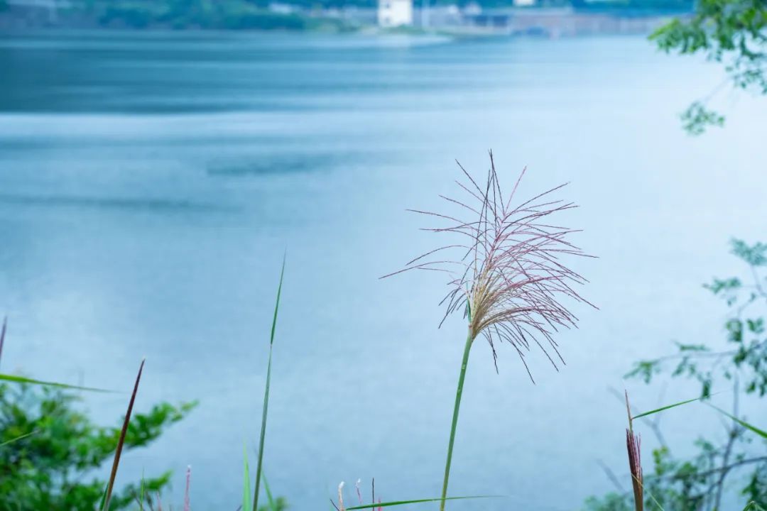 关于雨的古诗有哪些，20首描写雨景的唯美古诗