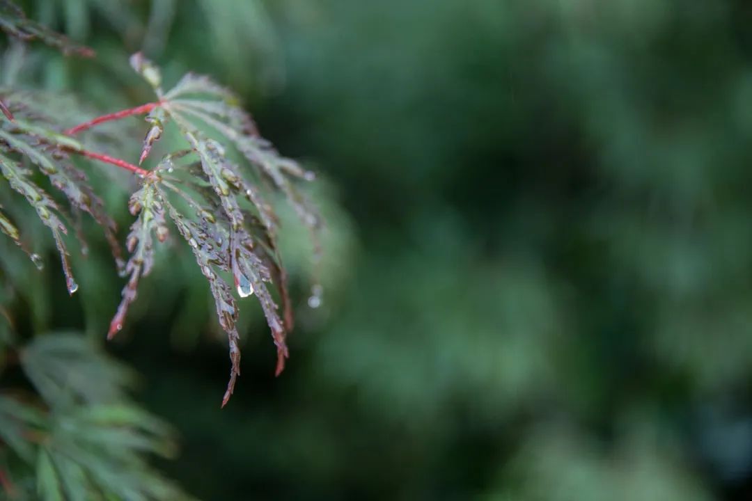 关于雨的古诗有哪些，20首描写雨景的唯美古诗