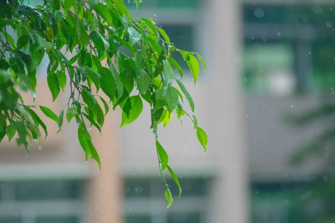 关于雨的古诗有哪些，20首描写雨景的唯美古诗