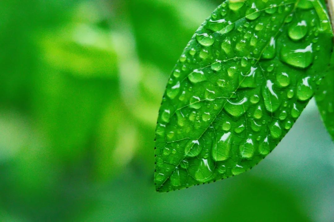 关于雨的古诗有哪些，20首描写雨景的唯美古诗