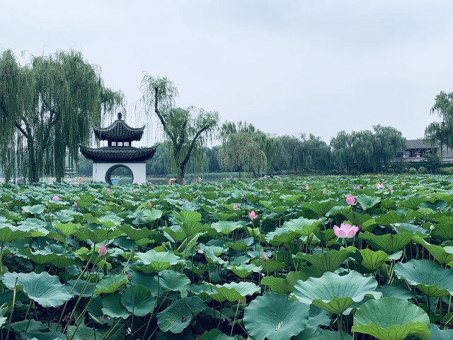 夏日绝句古诗的意思，夏日绝句古诗翻译