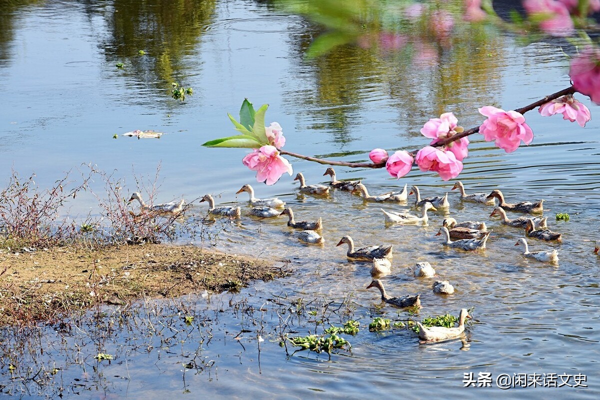 关于春天的诗句有哪些，春天古诗最好的5首