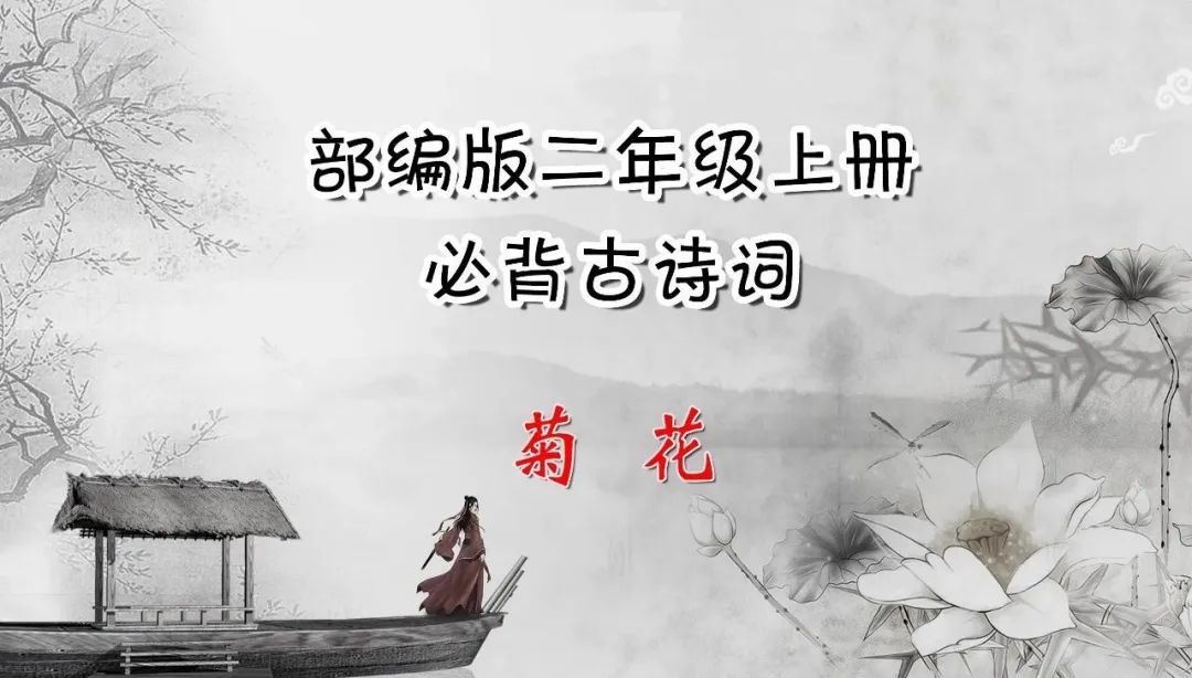 菊花古诗拼音版，最经典的菊花诗