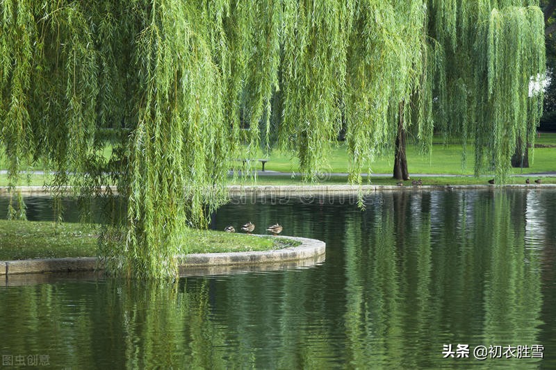 写草的诗句古诗大全，关于写草的古诗分享