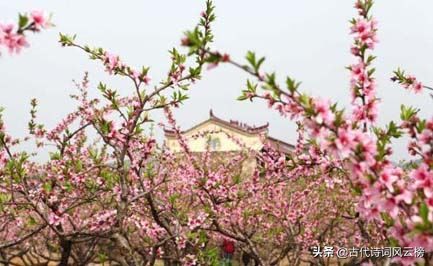 形容男人风流多情的诗句，讽刺男人沾花惹草的话